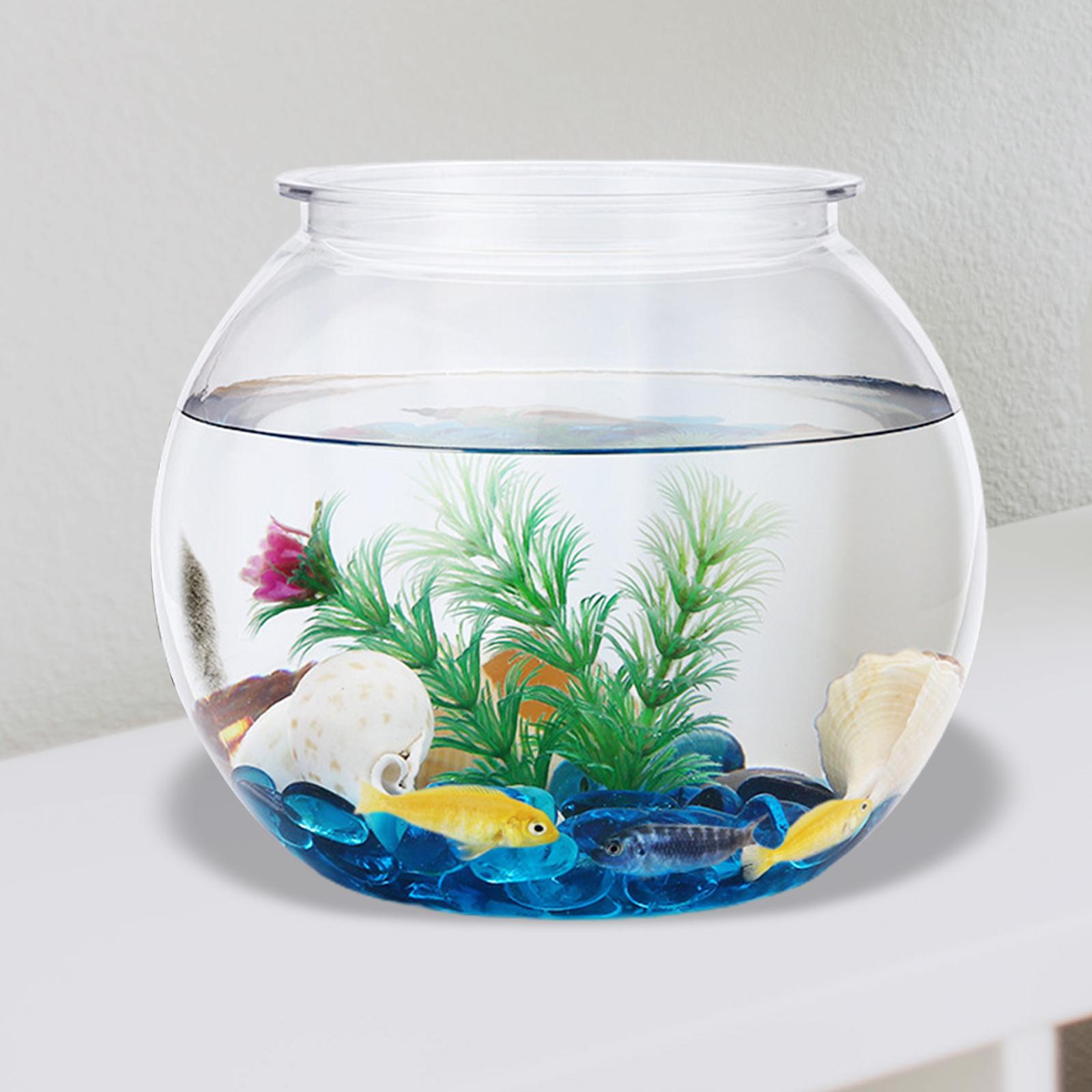 Planted Aquarium Bowl - Transparan tangki ikan kecil dekorasi DIY