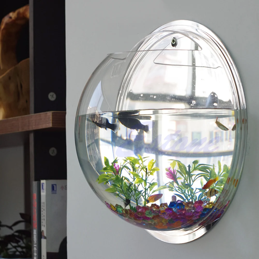 Planted Aquarium Bowl - Mangkuk Ikan Akrilik Terpasang Di Dinding
