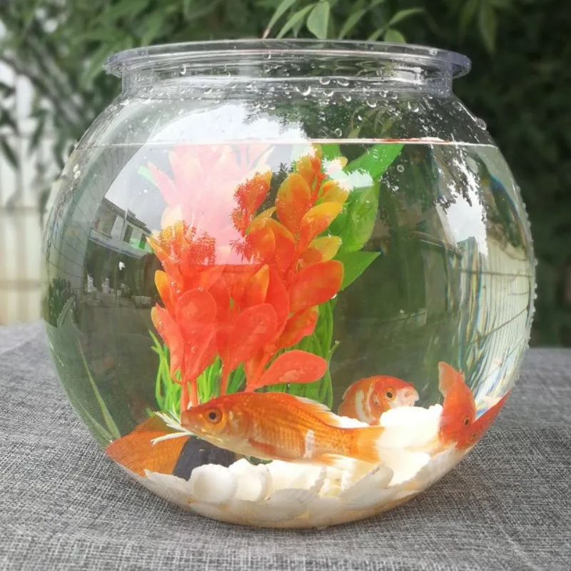 Planted Aquarium Bowl - Mangkuk Ikan Mas Desktop Transparan Plastik