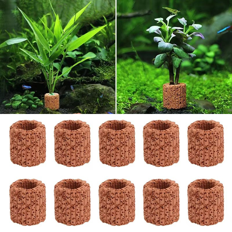 Aquarium Plant Design - Cincin Tetap Tanaman Air untuk Pemandangan