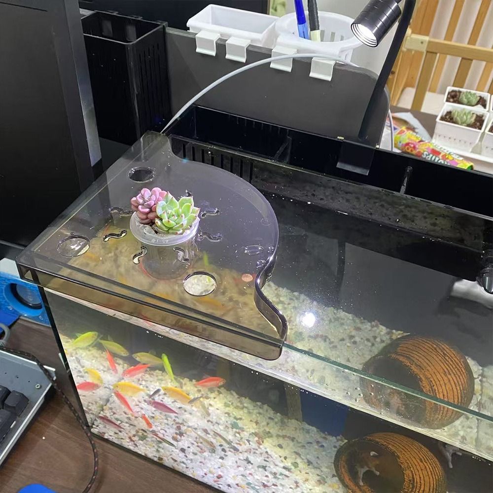 Aquarium Plant Design - Rak Sudut Akuarium Desain Segitiga, Pemasangan