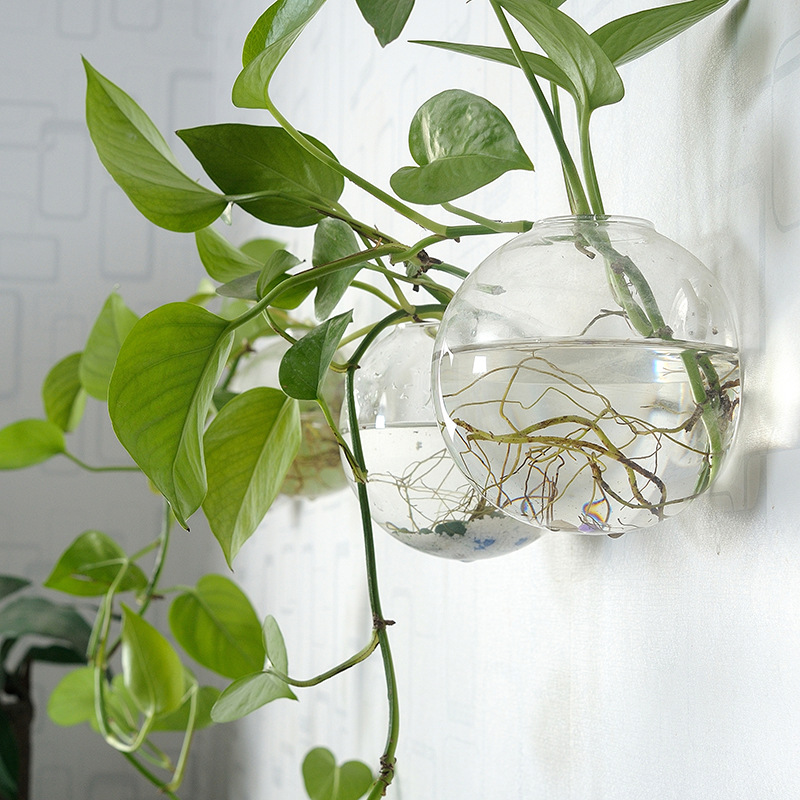 Planted Aquarium Bowl - Akuarium Akrilik Gantung Dinding, Vas Plexiglass,