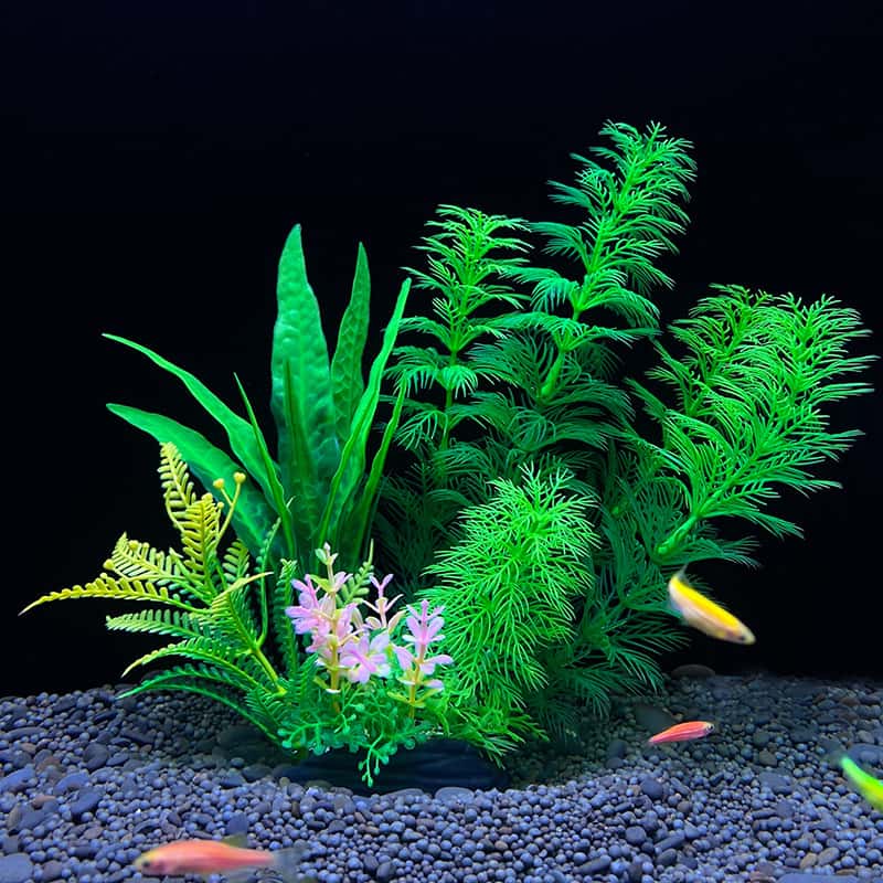 Planted Aquarium Bowl - 1 Buah Tanaman Dekorasi Akuarium Rumput