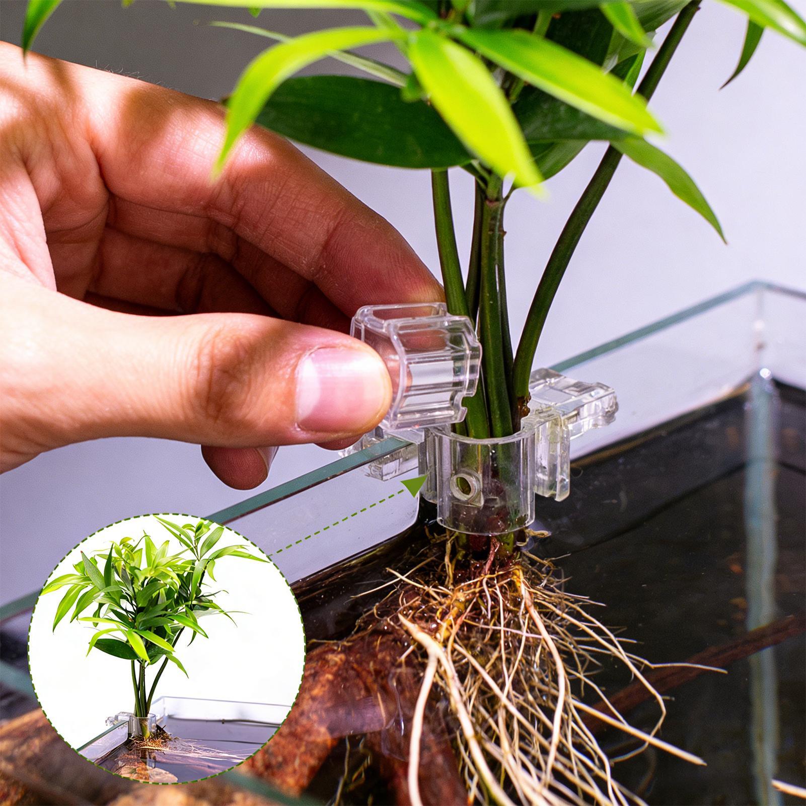 Aquarium Plant Diseases - 6 Buah Tempat Tanaman Akuarium, Braket