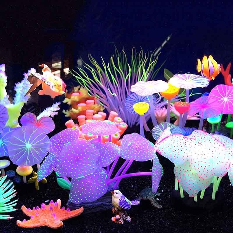 Silikon Bercahaya untuk Lanska - Aquarium Plant Design ulasan dan harga