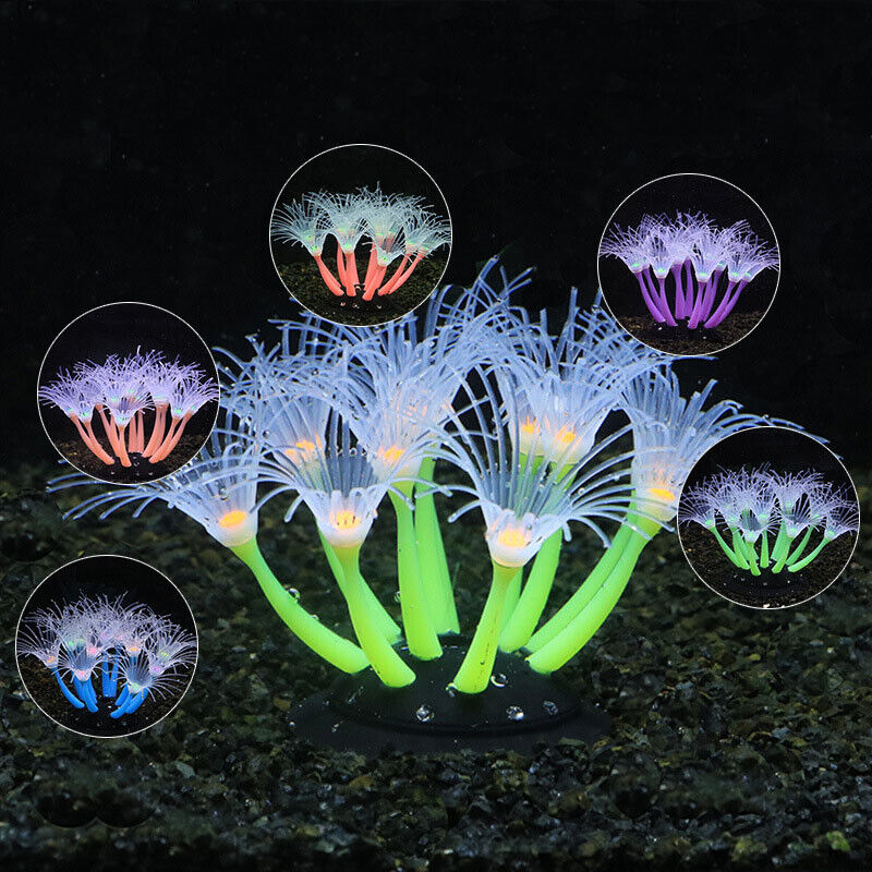 Silikon Bercahaya untuk Lanska - Aquarium Plant Design ulasan dan harga
