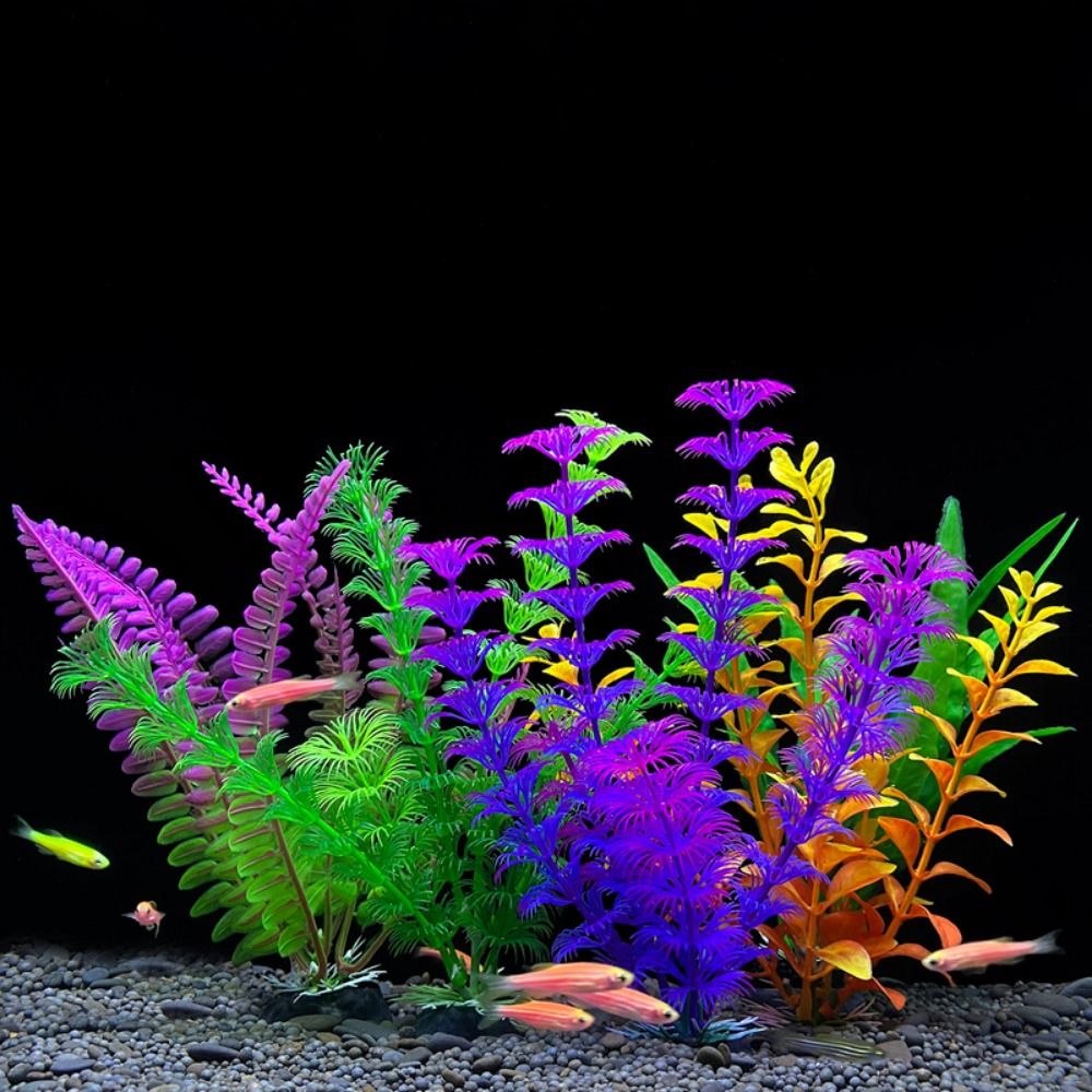 Tanaman ornamen tangki ikan, d - Planted Aquarium Bowl ulasan dan harga