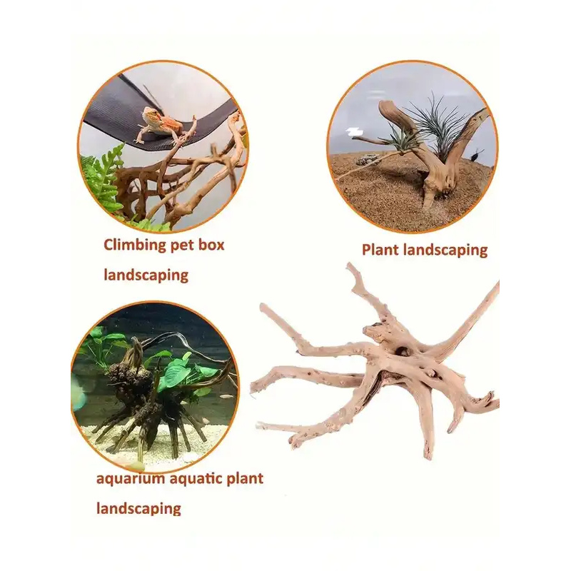 Kayu Apung Alami untuk Dekoras - Aquarium Planted Wood ulasan dan harga