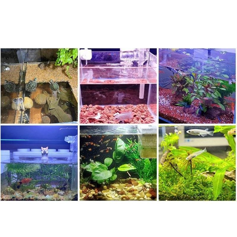 Lampu Tangki Akuarium Kecil Le - Planted Aquarium Bowl ulasan dan harga
