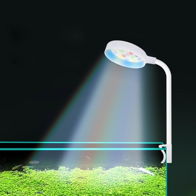 Lampu Tangki Akuarium Kecil Le - Planted Aquarium Bowl ulasan dan harga