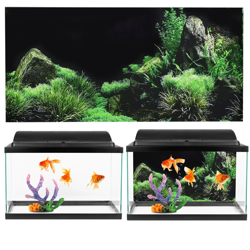 Latar belakang untuk akuarium  - Planted Aquarium Aquascape ulasan dan harga