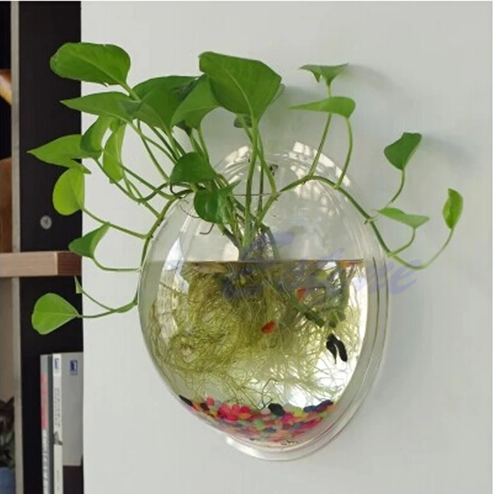 Mangkuk Ikan Akrilik Terpasang - Planted Aquarium Bowl ulasan dan harga