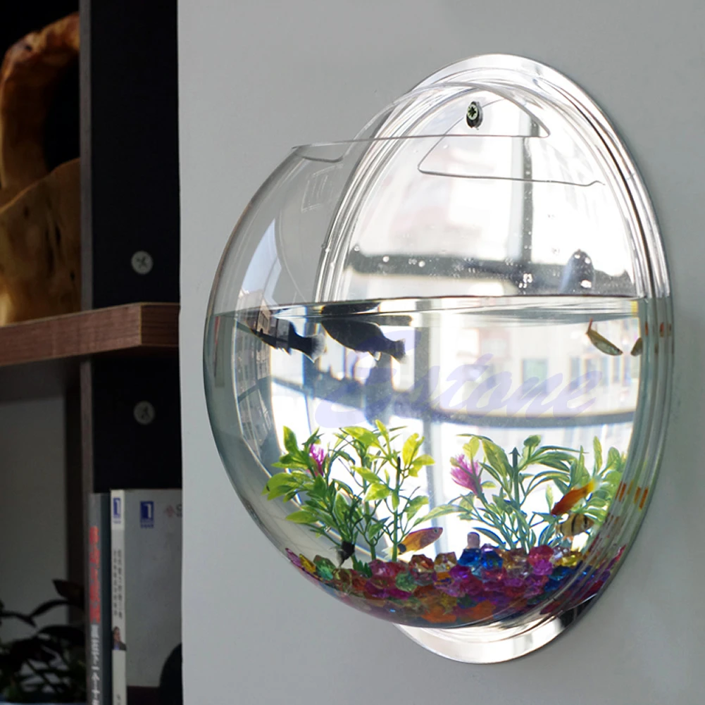 Mangkuk Ikan Akrilik Terpasang - Planted Aquarium Bowl ulasan dan harga