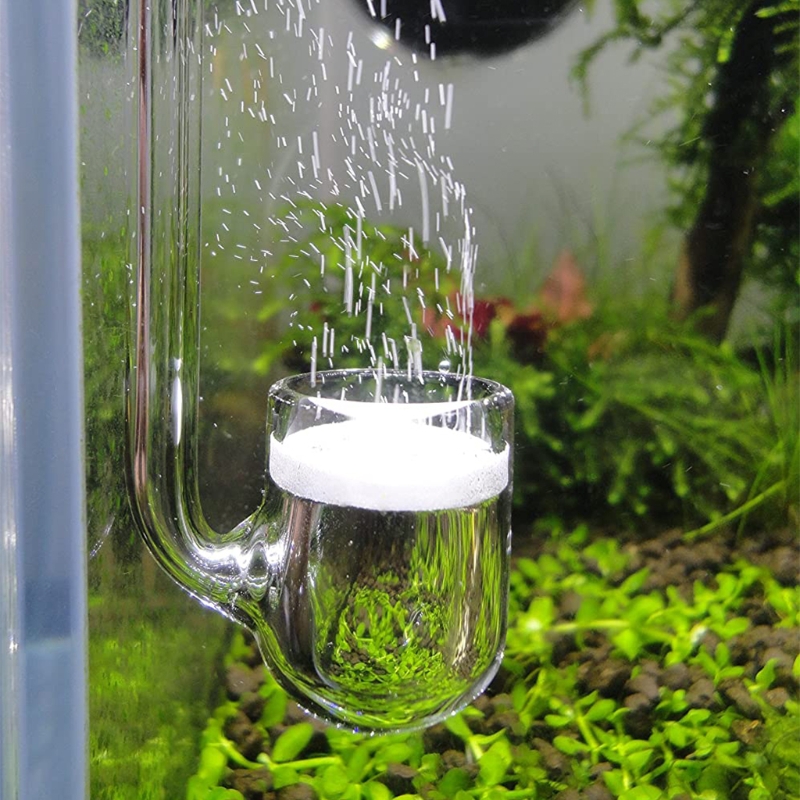 D0AD Kaca CO2 Diffuser untuk A - Aquarium Plant Design ulasan dan harga