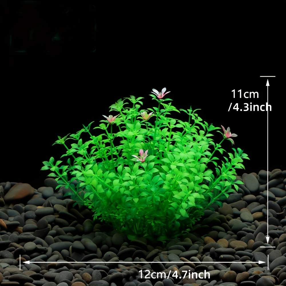 Dekorasi Tangki Ikan Akuarium  - Aquarium Plant Design ulasan dan harga