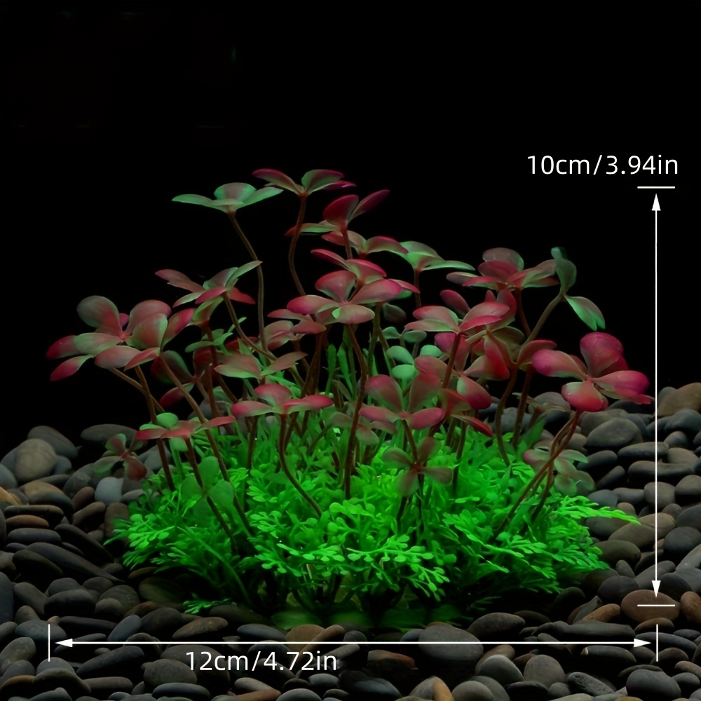 Dekorasi Tangki Ikan Akuarium  - Aquarium Plant Design ulasan dan harga