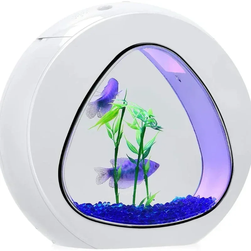 Akuarium Ikan Cupang, Akuarium - Planted Aquarium Bowl ulasan dan harga