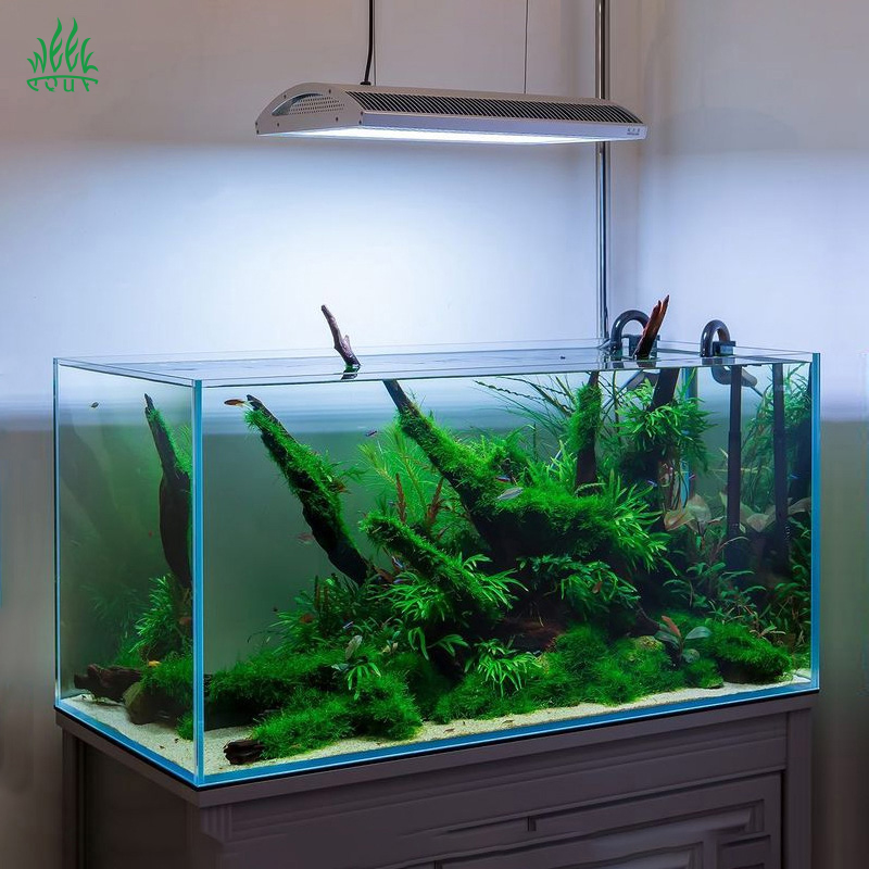 Lampu Akuarium LED Week Aqua A - Planted Aquarium Aquascape ulasan dan harga