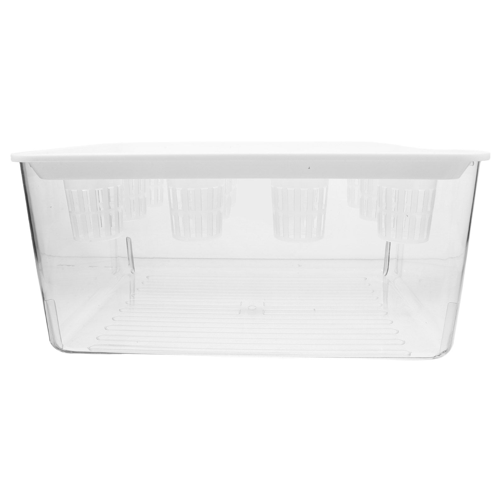 1Set Akuarium Tanpa Tanah Tran - Planted Aquarium Bowl ulasan dan harga