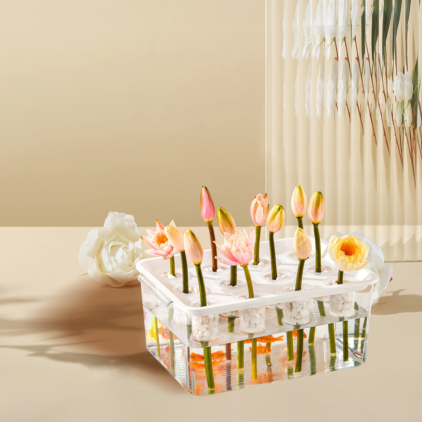 1Set Akuarium Tanpa Tanah Tran - Planted Aquarium Bowl ulasan dan harga