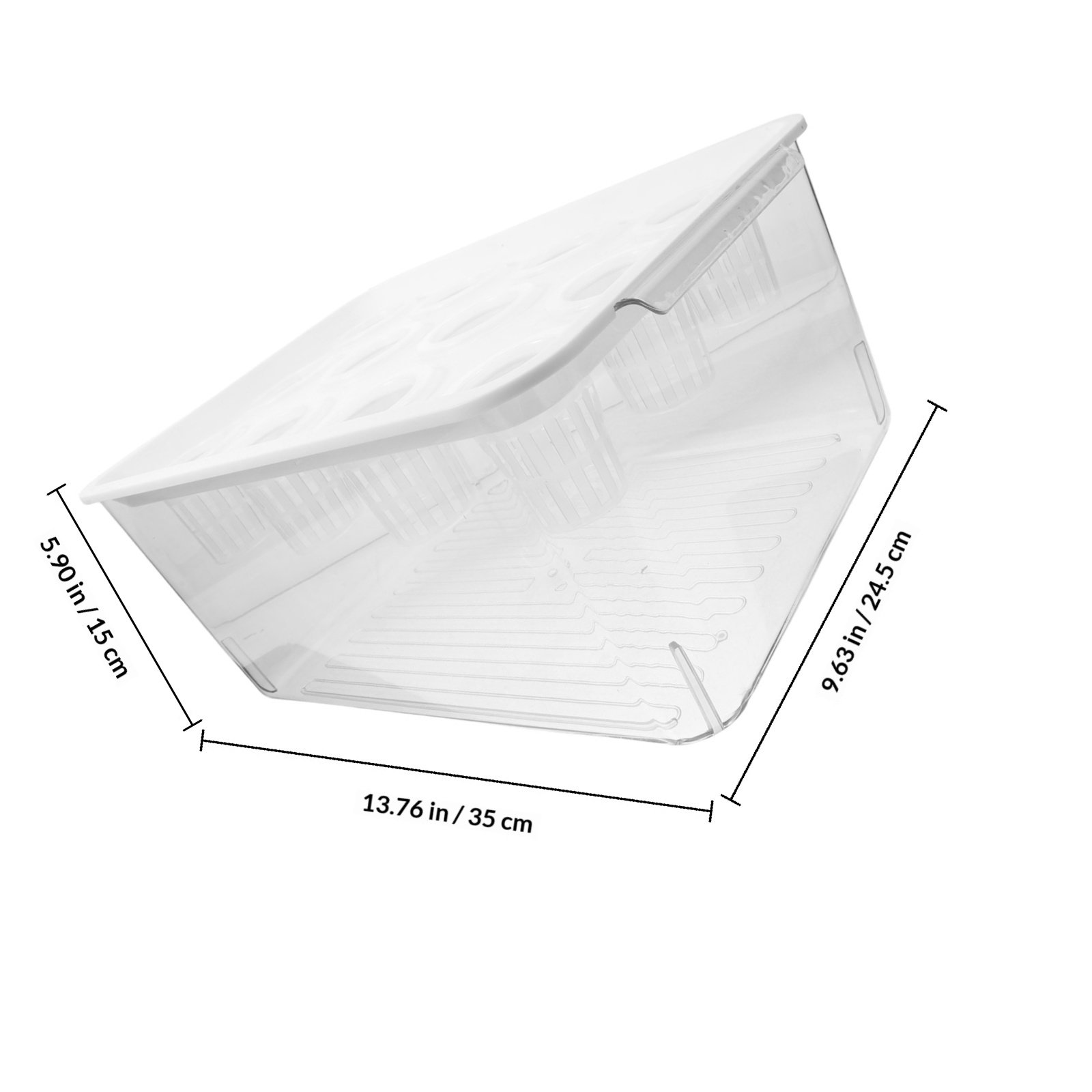 1Set Akuarium Tanpa Tanah Tran - Planted Aquarium Bowl ulasan dan harga