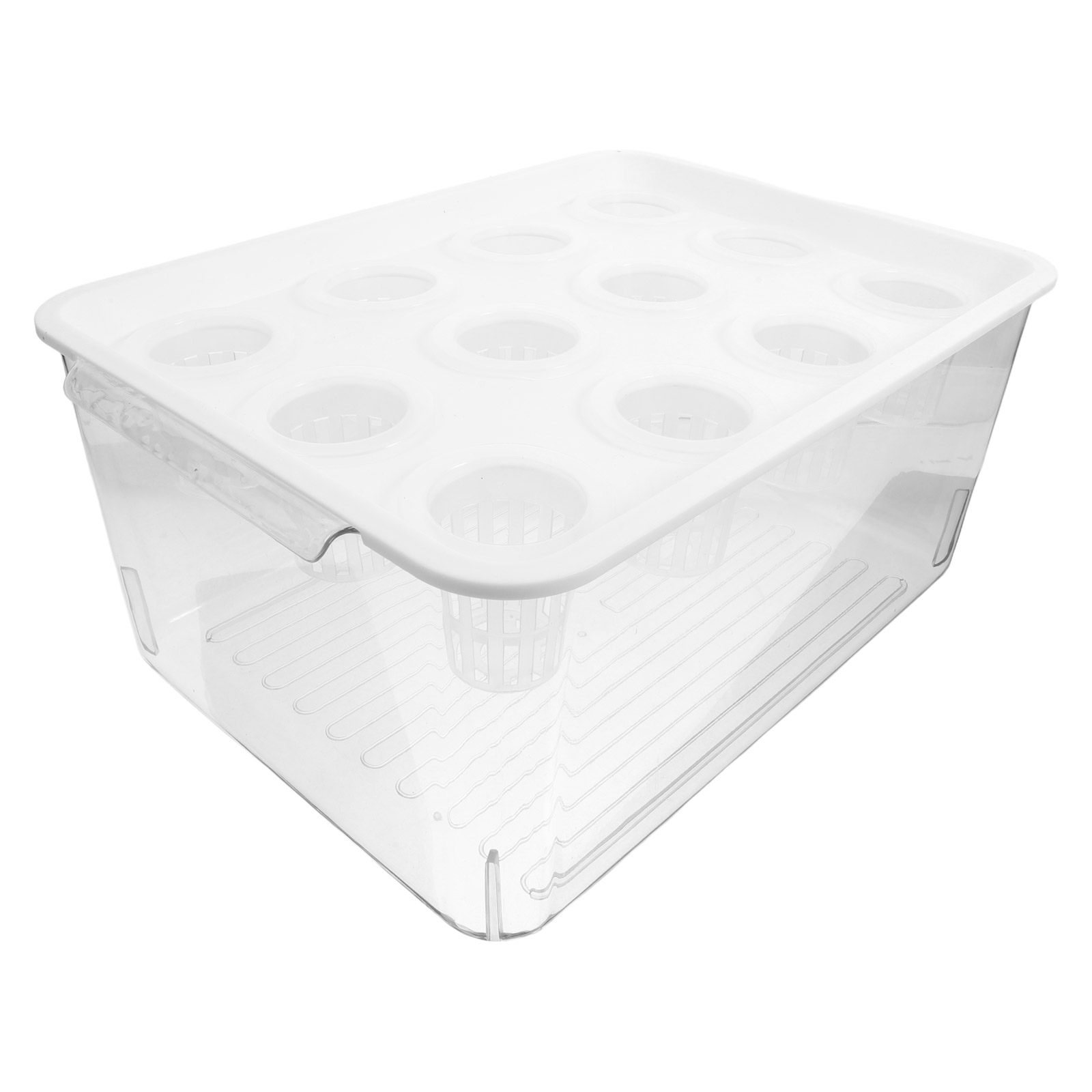 1Set Akuarium Tanpa Tanah Tran - Planted Aquarium Bowl ulasan dan harga