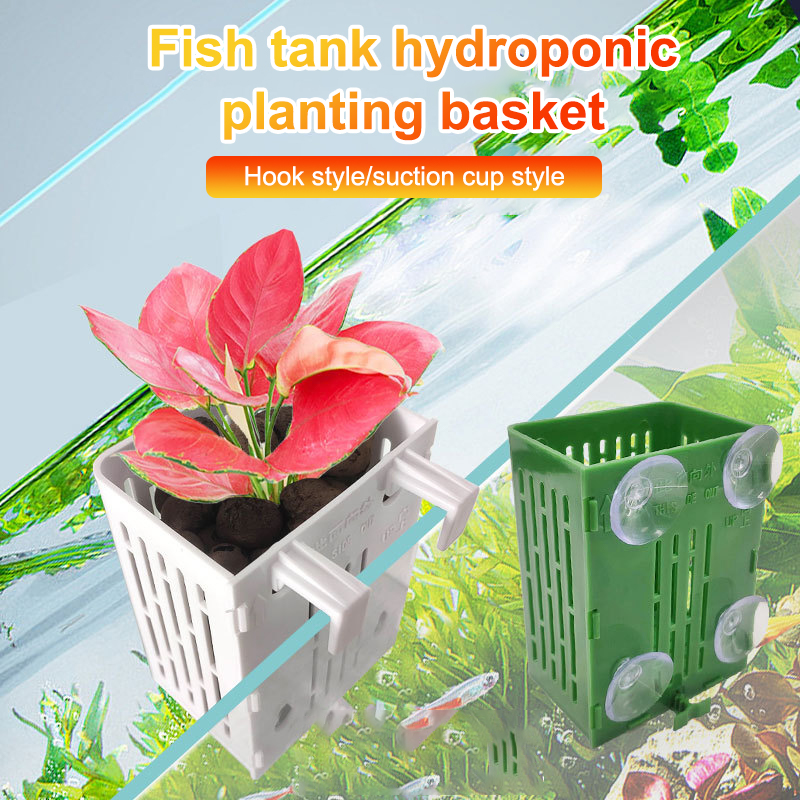 Kait cangkir hisap gantung pem - Planted Aquarium Aquascape ulasan dan harga