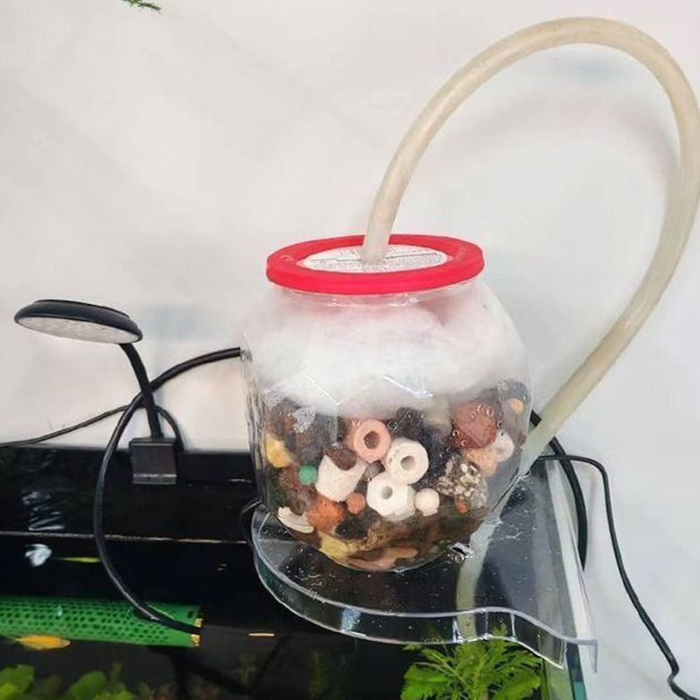 Rak Sudut Akuarium Desain Segi - Aquarium Plant Design ulasan dan harga