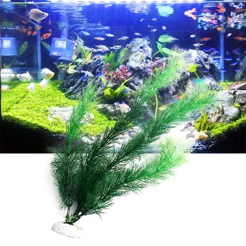 Tanaman Dekorasi Akuarium Buat - Aquarium Plant Design ulasan dan harga