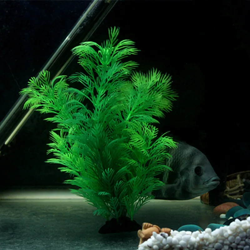 Tanaman Dekorasi Akuarium Buat - Aquarium Plant Design ulasan dan harga