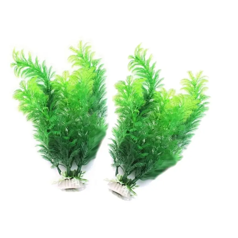 Tanaman Dekorasi Akuarium Buat - Aquarium Plant Design ulasan dan harga