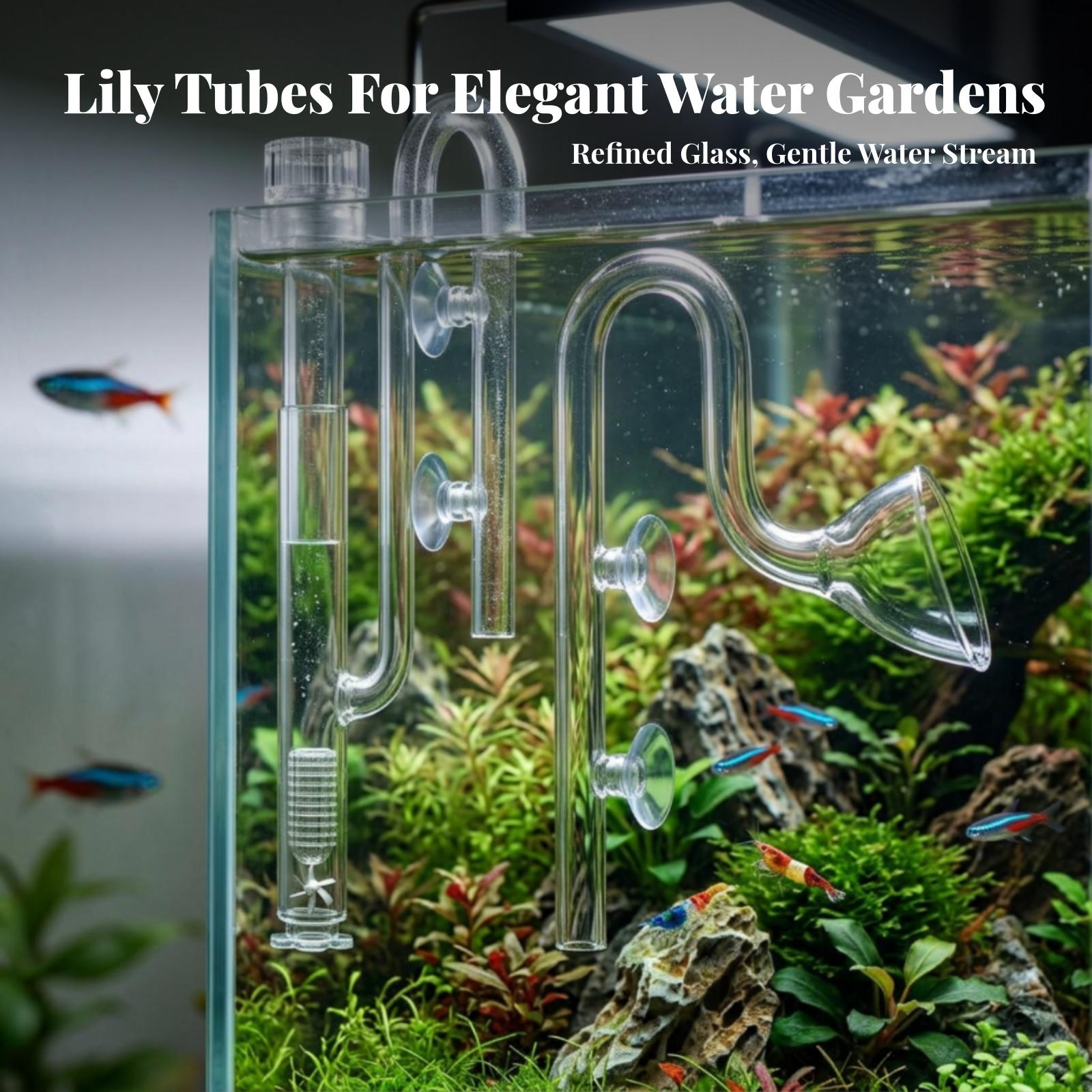 Set Pipa Lily Transparan untuk - Planted Aquarium Aquascape ulasan dan harga