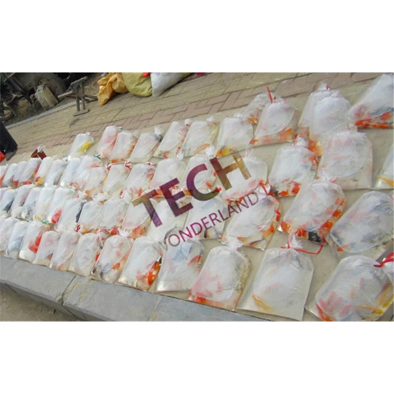 100 Pcs Tinggi Kualitas Bernap - Planted Aquarium Bowl ulasan dan harga