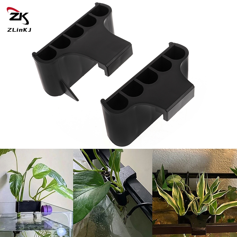 Pemegang tanaman akuarium gant - Planted Aquarium Aquascape ulasan dan harga