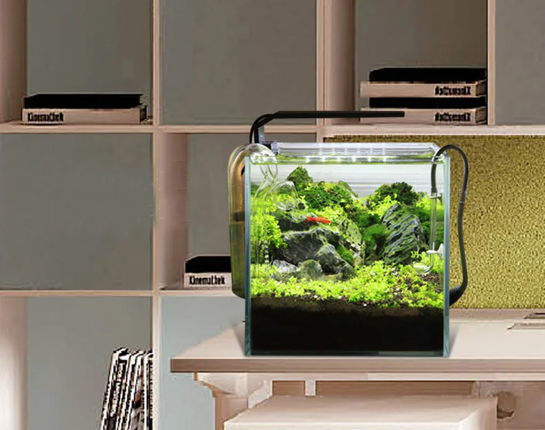 Chihiros C Series ADA Style Pl - Aquarium Plant Diseases ulasan dan harga