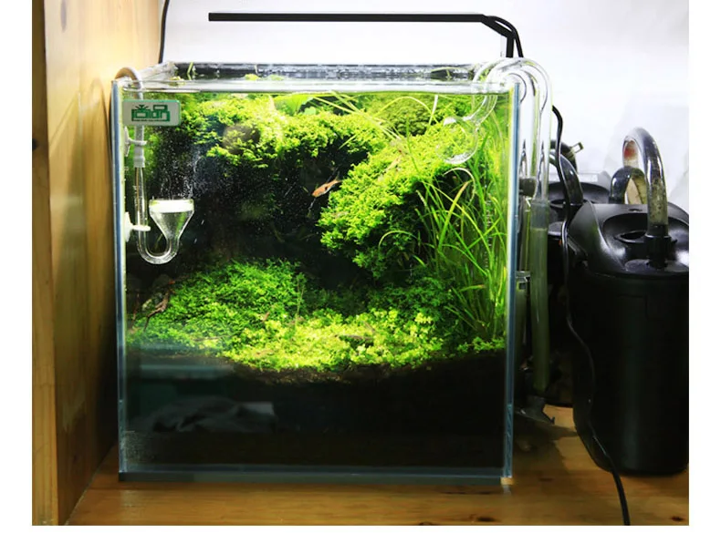 Chihiros C Series ADA Style Pl - Aquarium Plant Diseases ulasan dan harga