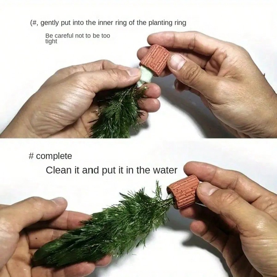 Cincin Fiksasi Tanaman Akuariu - Planted Aquarium Aquascape ulasan dan harga