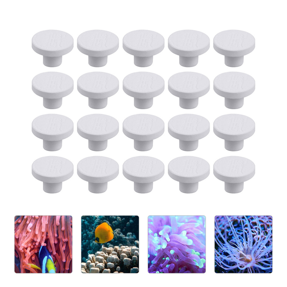 Alas Keramik SPS untuk Coral F - Aquarium Plant Design ulasan dan harga