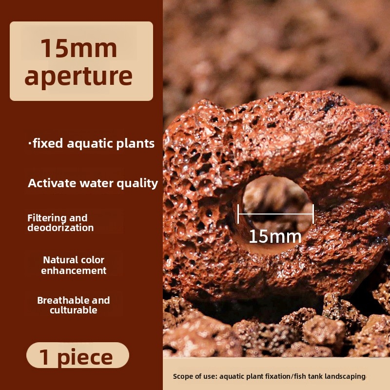 Cincin Tanam Batu Lava Merah – - Planted Aquarium Carpet Plant ulasan dan harga