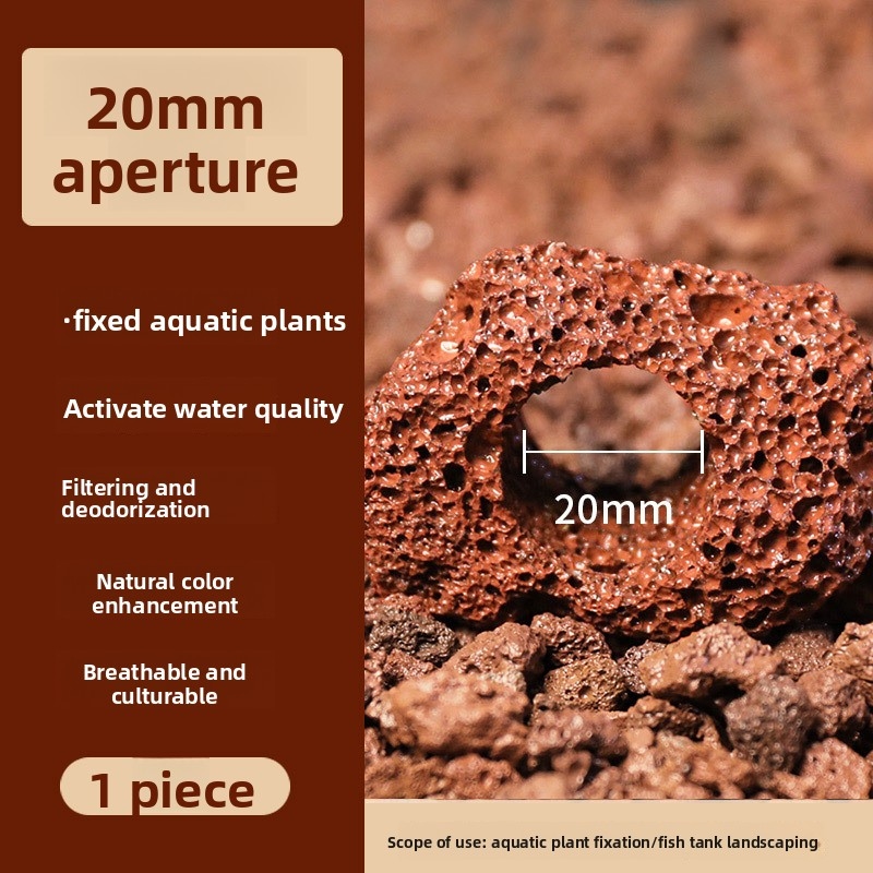 Cincin Tanam Batu Lava Merah – - Planted Aquarium Carpet Plant ulasan dan harga