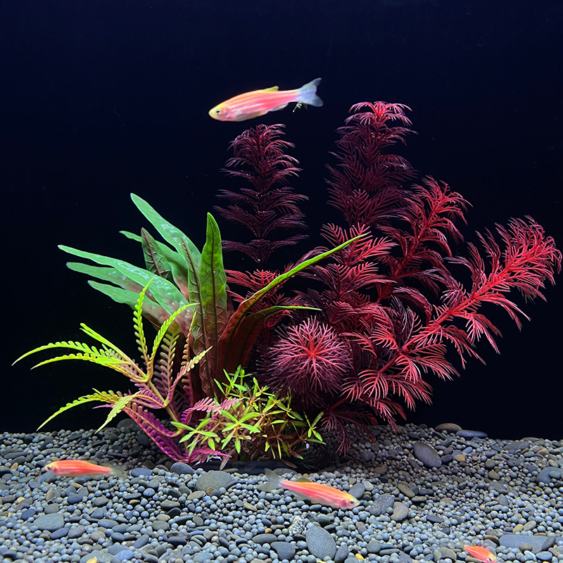 1 Buah Tanaman Dekorasi Akuari - Planted Aquarium Bowl ulasan dan harga