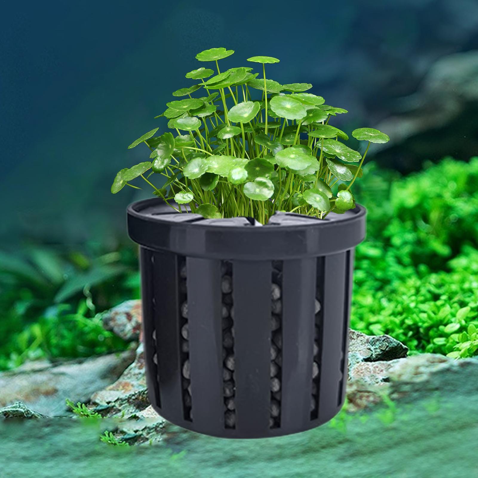 4 Buah Tempat Tanaman Air Gant - Planted Aquarium Aquascape ulasan dan harga