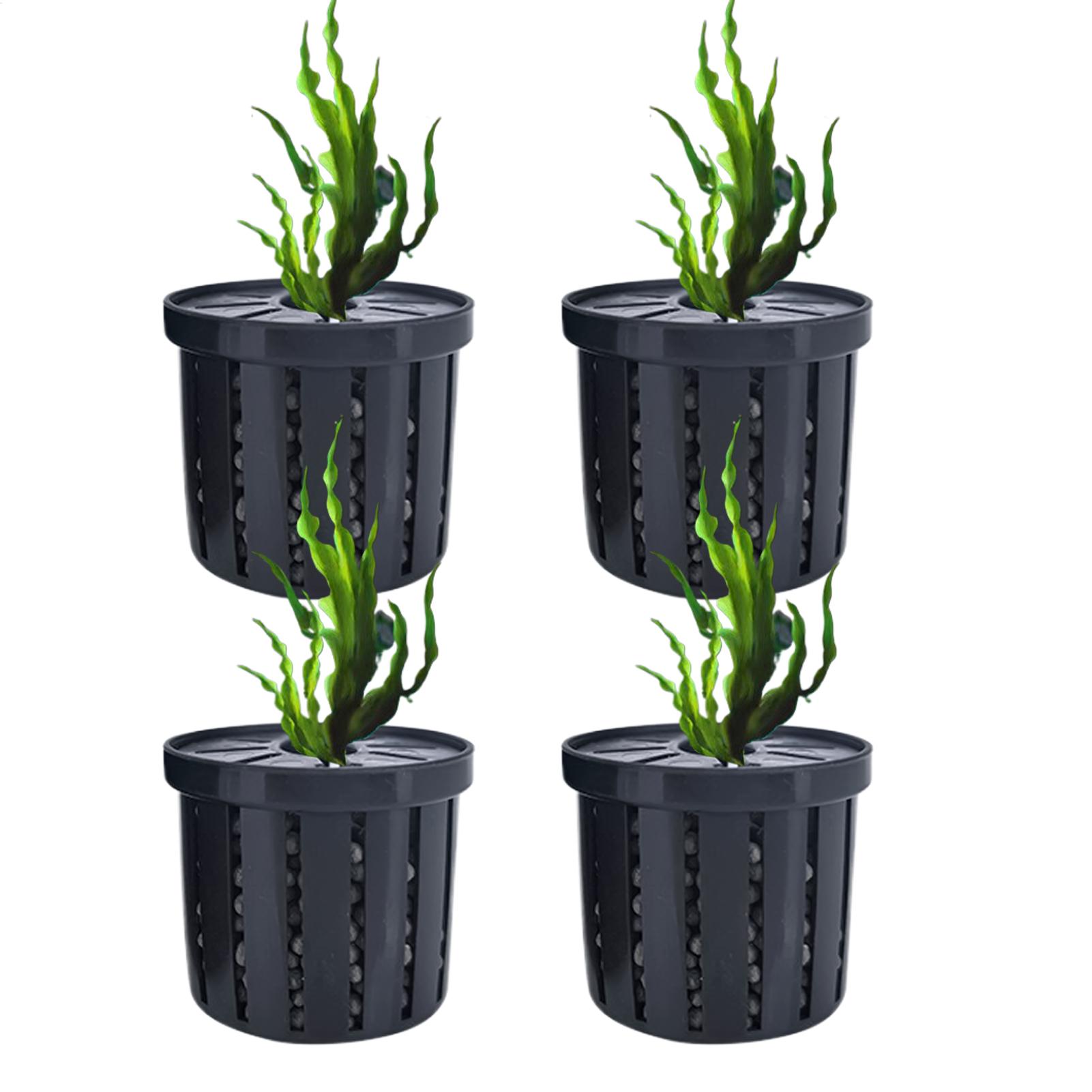 4 Buah Tempat Tanaman Air Gant - Planted Aquarium Aquascape ulasan dan harga