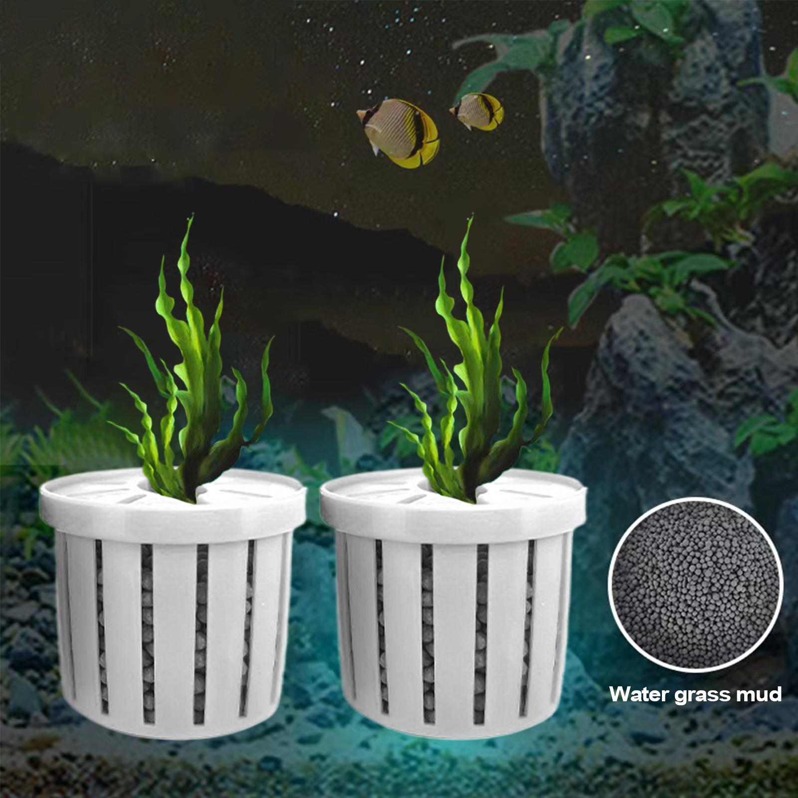 4 Buah Tempat Tanaman Air Gant - Planted Aquarium Aquascape ulasan dan harga