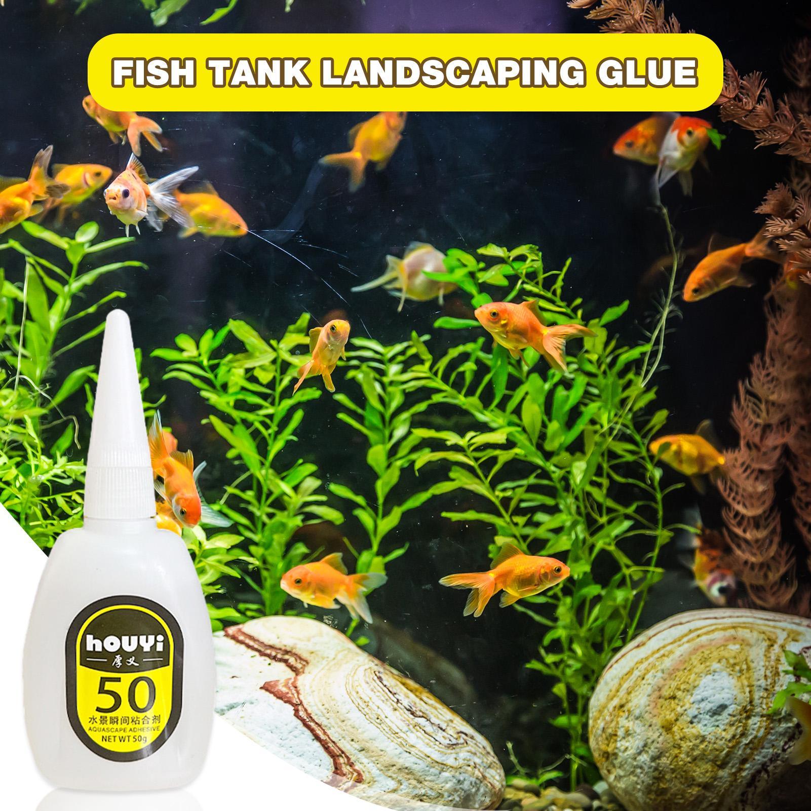 50/100g Lem Instan Bening untu - Planted Aquarium Aquascape ulasan dan harga