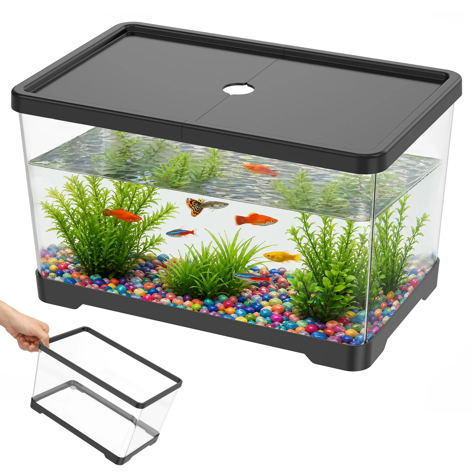 Akuarium Ikan Transparan denga - Planted Aquarium Bowl ulasan dan harga