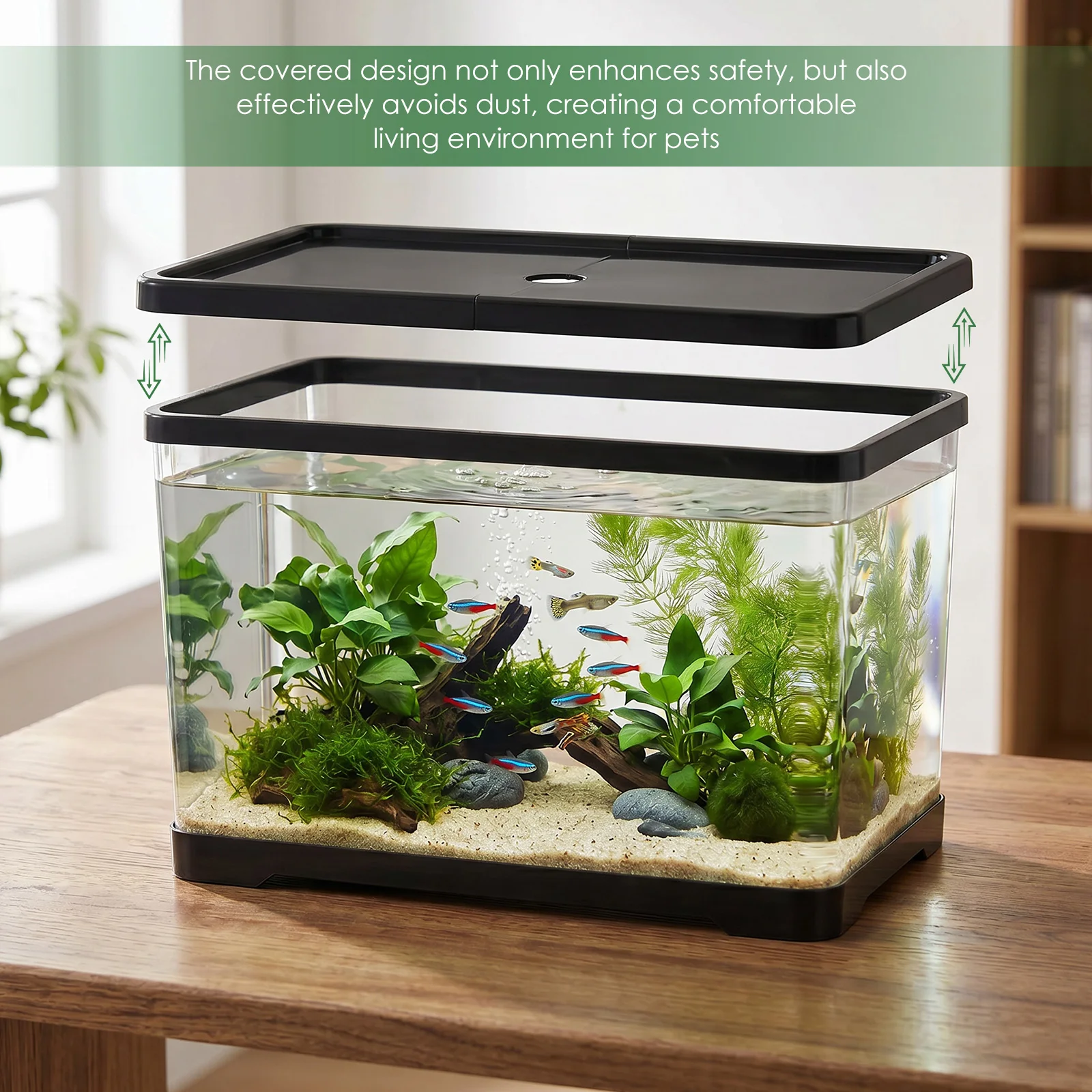 Akuarium Ikan Transparan denga - Planted Aquarium Bowl ulasan dan harga