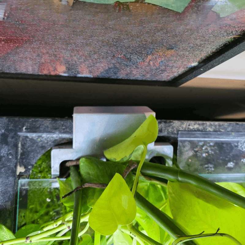 Rak Dekorasi Penyangga Tanaman - Aquarium Plant Design ulasan dan harga