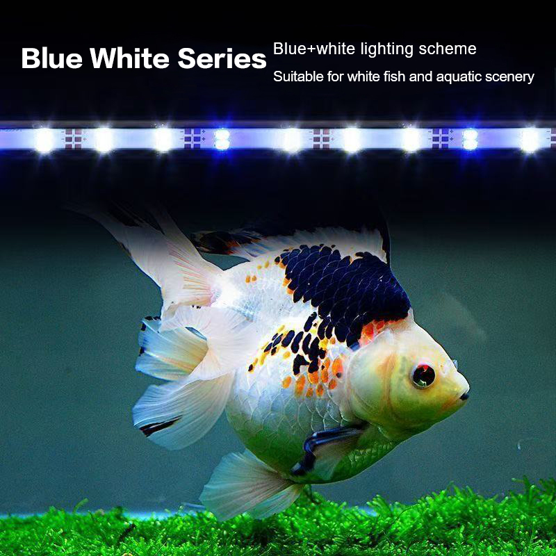 Lampu Bawah Air Lampu Submersi - Aquarium Plant Diseases ulasan dan harga