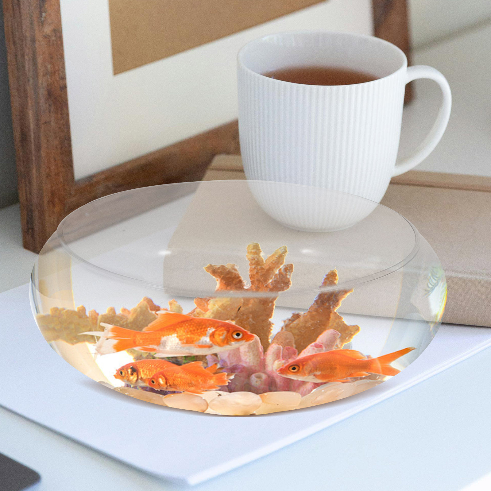 Akuarium Kaca Kecil, Tangki Ik - Planted Aquarium Bowl ulasan dan harga